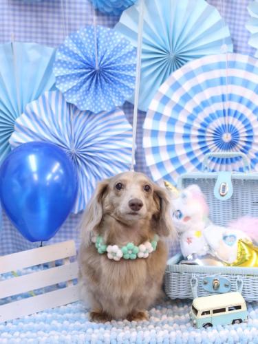 20231117ぺこちゃん